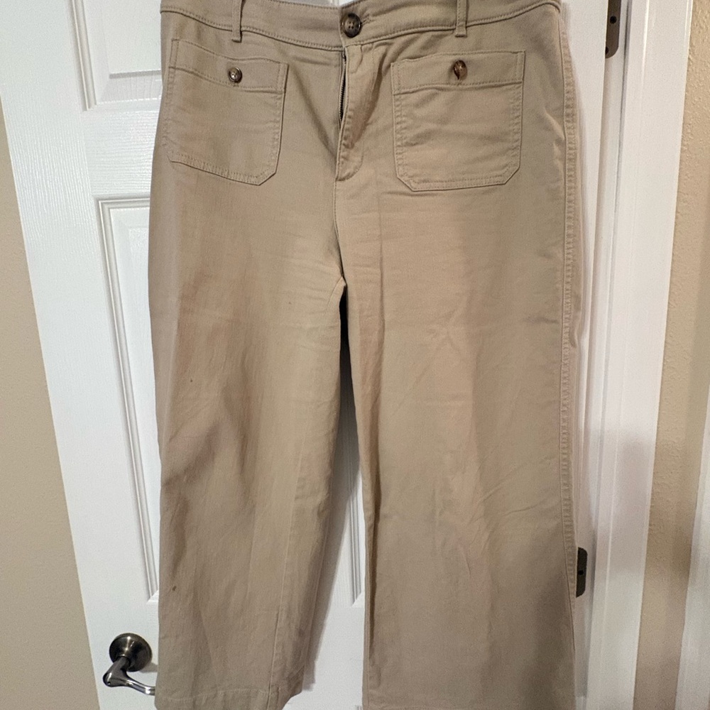 LOFT Palmer Wide Leg Ankle Pants